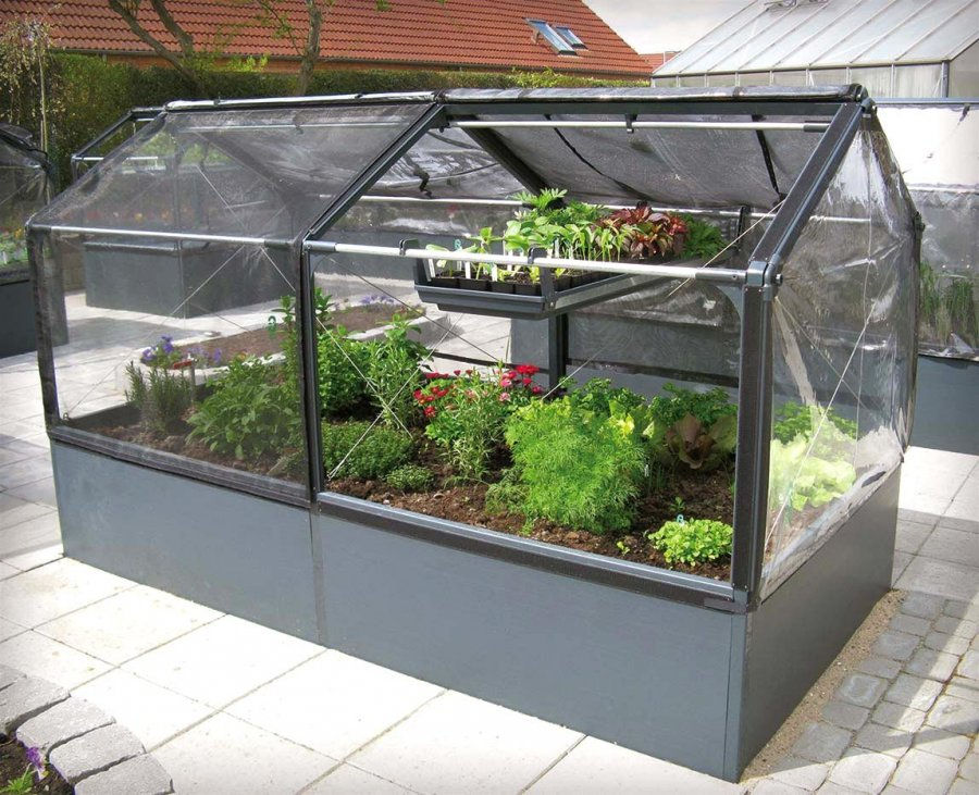 Urban Farming