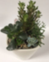 Cactus & succulents in Mini Deltini, sky blue