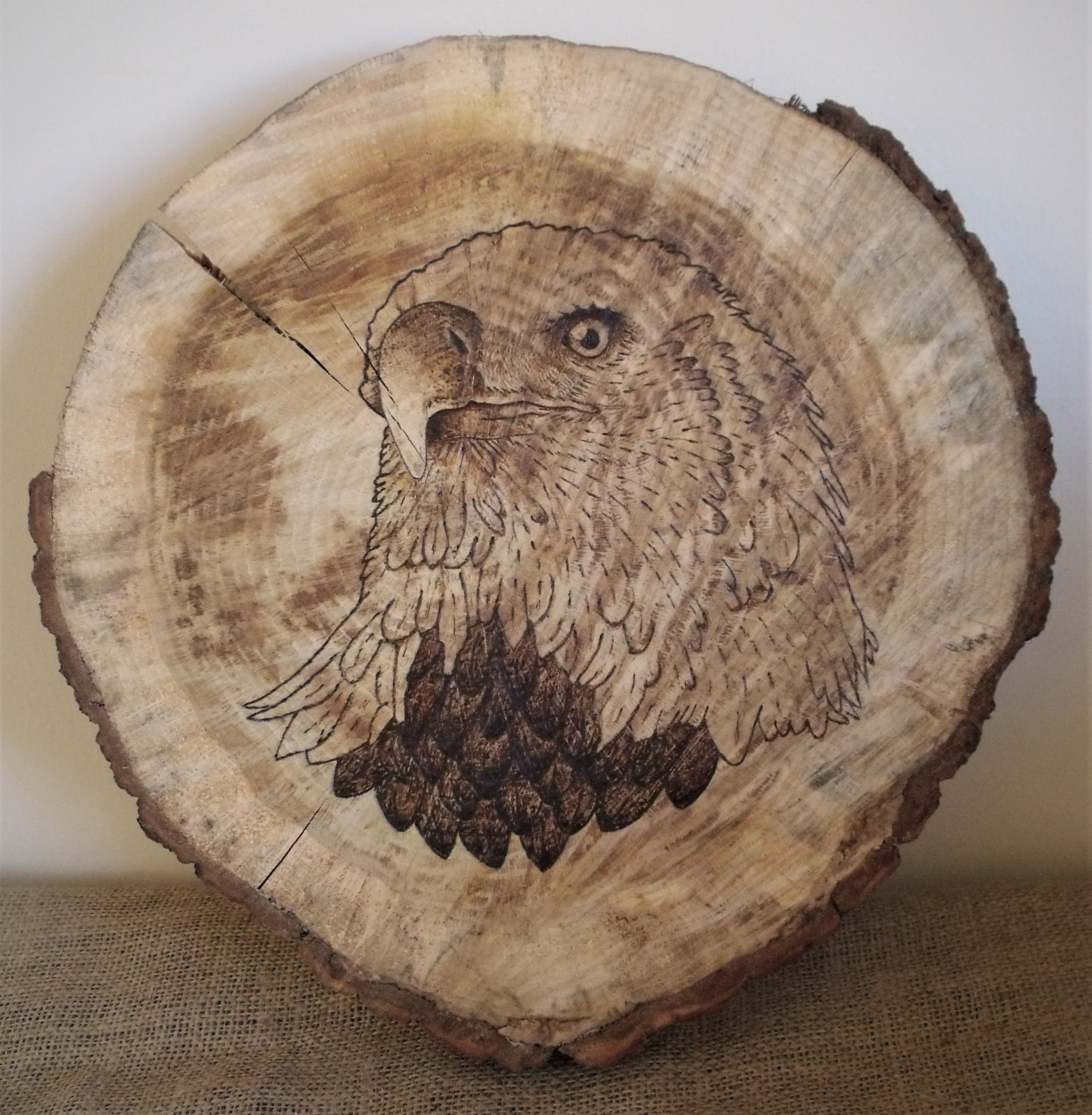 Eagle Portrait large