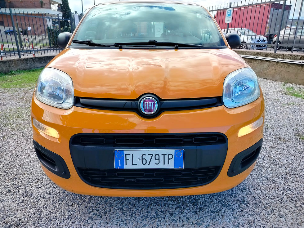 PANDA 1.2 FIRE GAS EASY NAT. POWER 05/2017 102000KM 67600 EURO