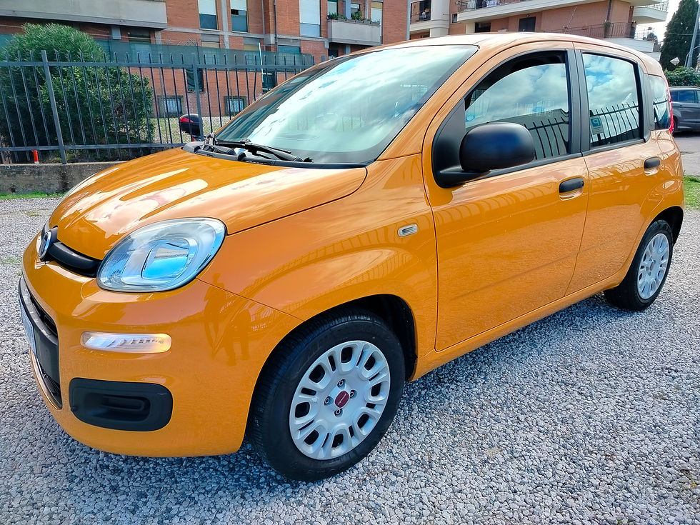 PANDA 1.2 FIRE GAS EASY NAT. POWER 05/2017 102000KM 6700 EURO