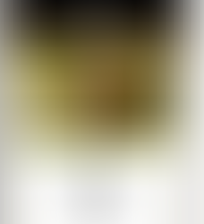 GUNAA Newsletter -March2025