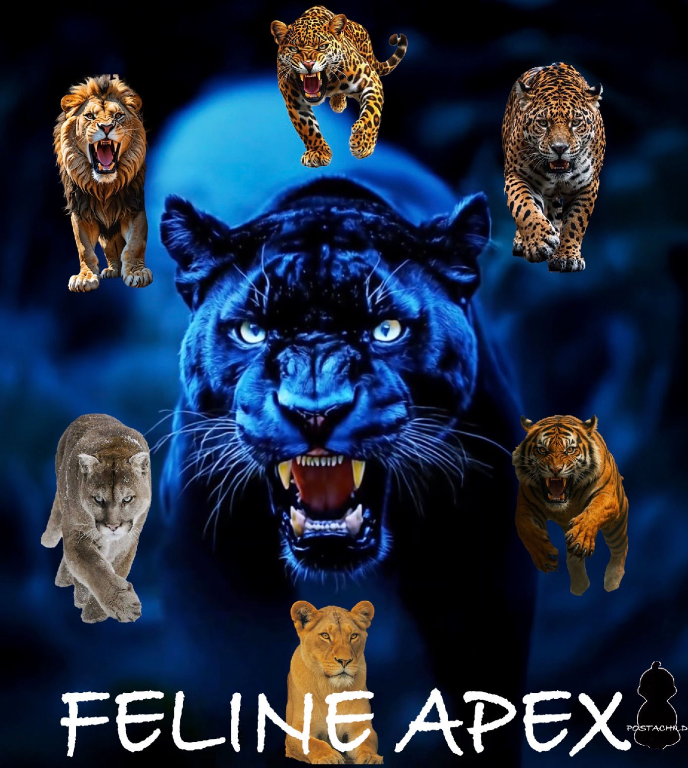 Feline Apex