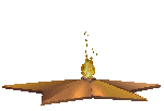 25313798.gif