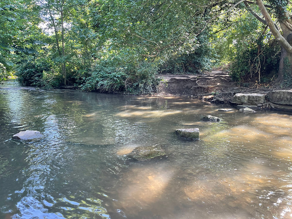 The stepping stones in the river Ver, near Verulamium Park in St Albans