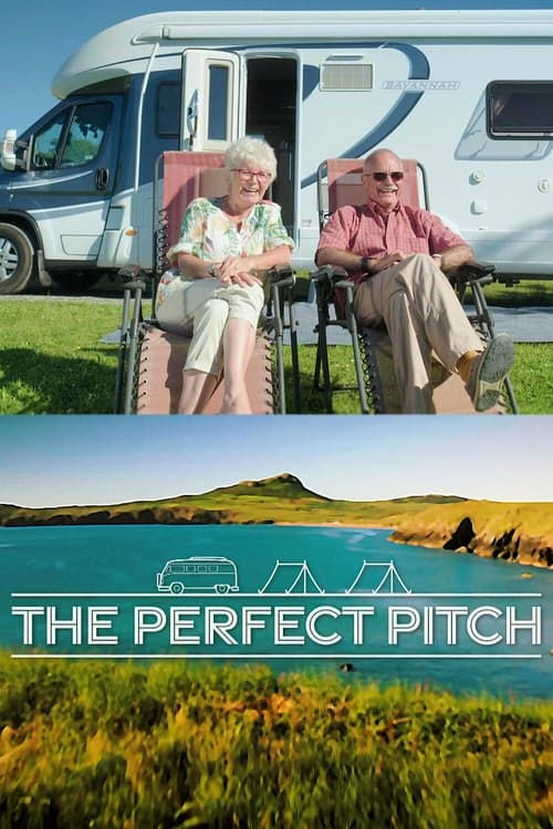 the perfect pitch