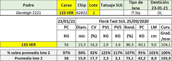 133 VER - 62822 ficha.jpg