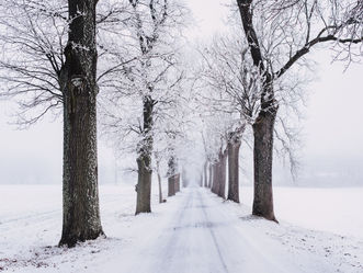 'Tis the Season, Everyday is a Reason.