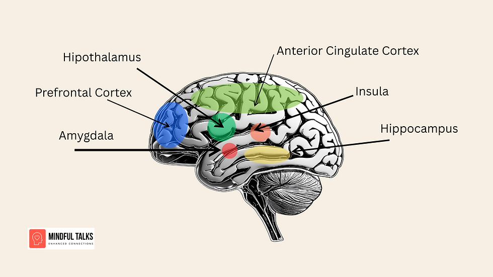 From Motherhood to Entrepreneurship: How Your Brain Powers Both