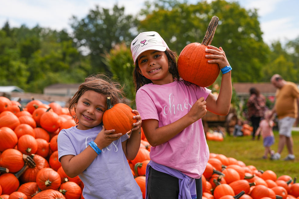 Fall on the Farm is in Full Swing at Blooms & Berries