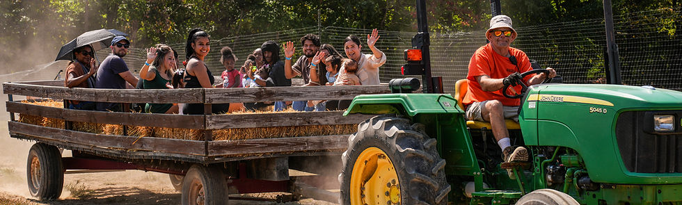 Top 7 Fall Activities in Loveland