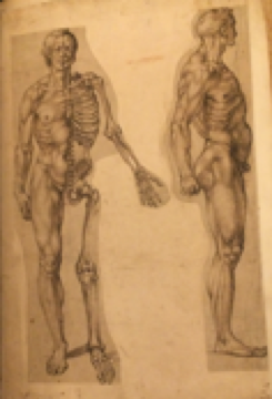 Bartolomeo Passerotti,