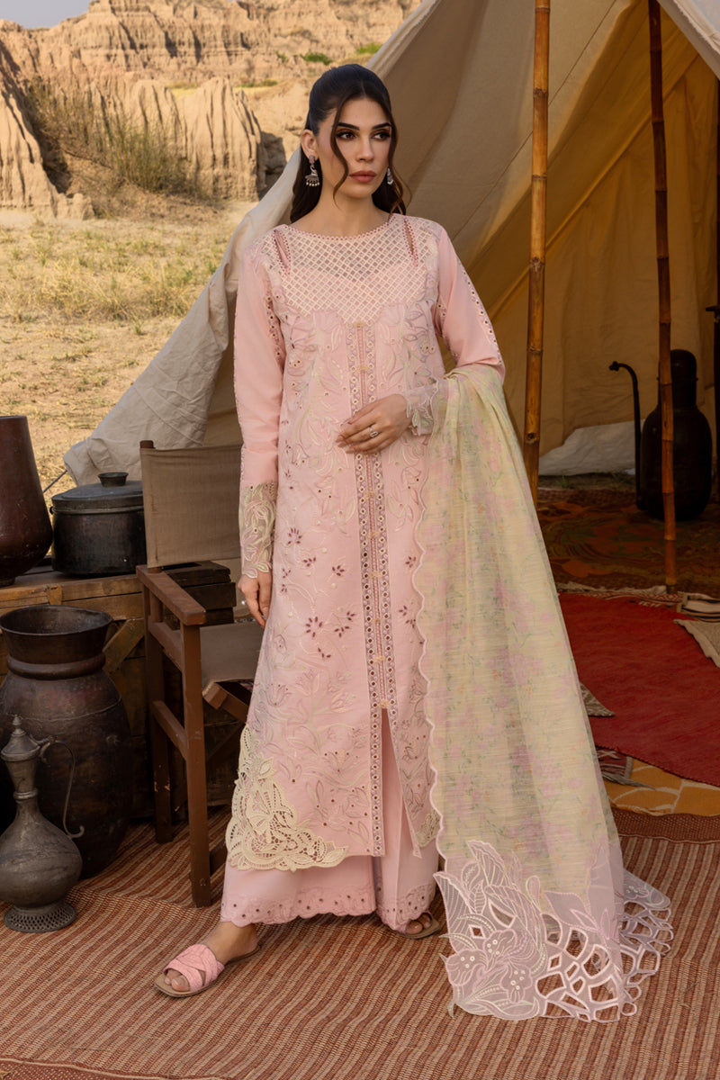 Rangrasiya