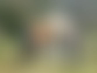   Thank you for staying with us!