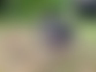 　Thank  you for staying with us!