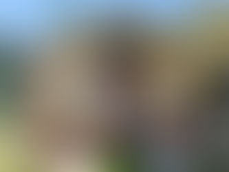      Thank you for staying with us !