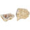 Thumbnail: Medium - White Quartz Geode