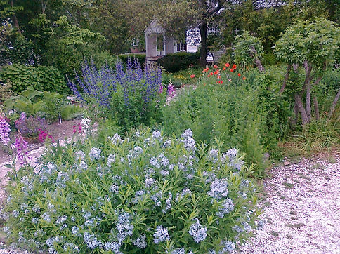 Вилиамсбург, Williamsburg, VA, United States