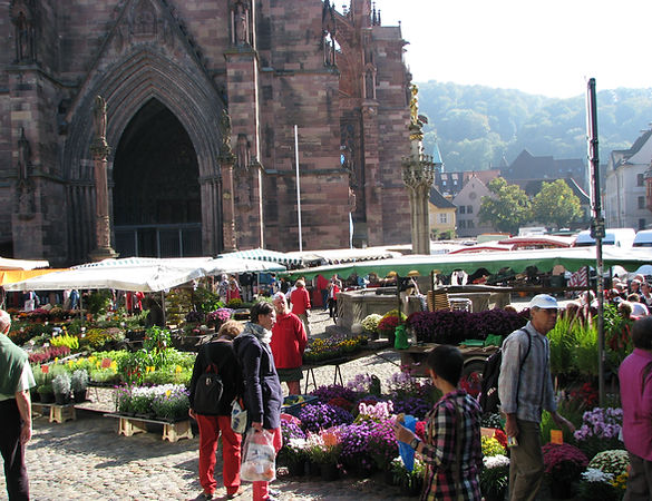 Фрайбург, Freiburg