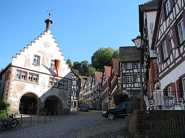 Шварцвальд, Черный лес, Schwarzwald, Black Forest