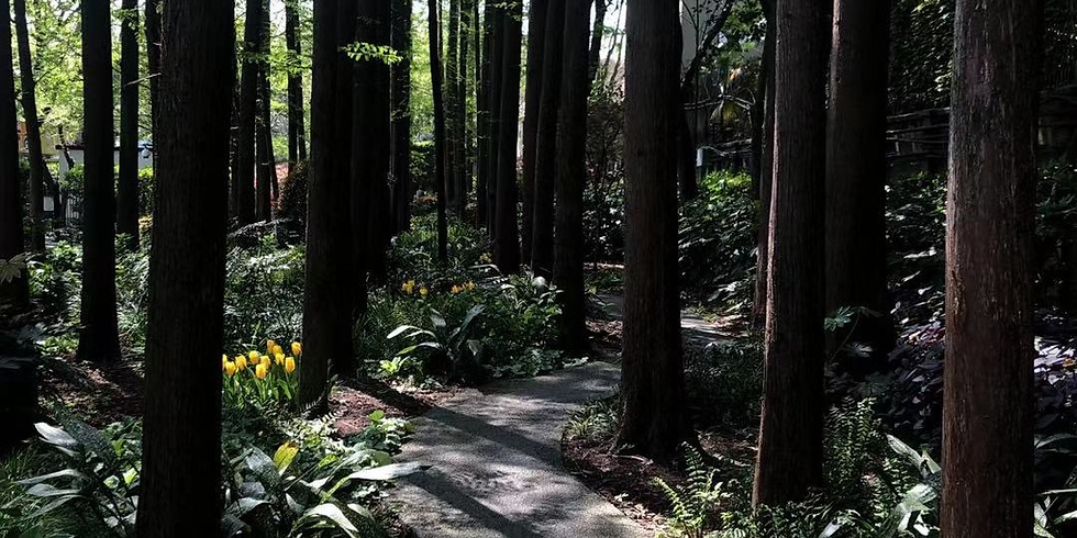 New Creativity Walk in the Former French Concession