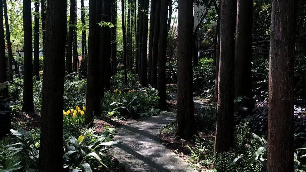New Creativity Walk in the Former French Concession