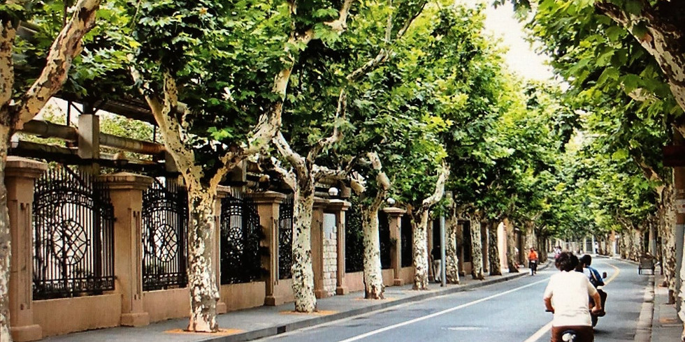Shanghai City Ride – From Hidden Alleyways to the Concrete Jungle