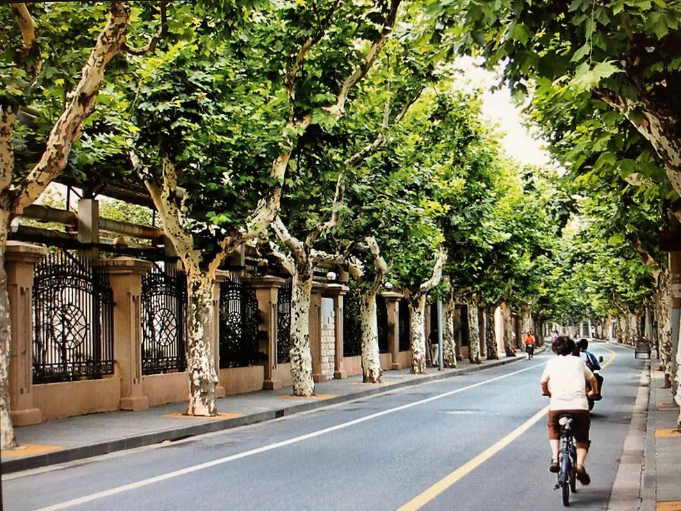 Shanghai City Ride – From Hidden Alleyways to the Concrete Jungle