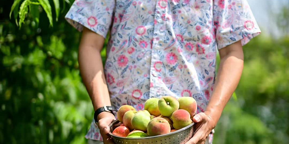 Biking and Fruit Picking at Lien’s Farm Estate