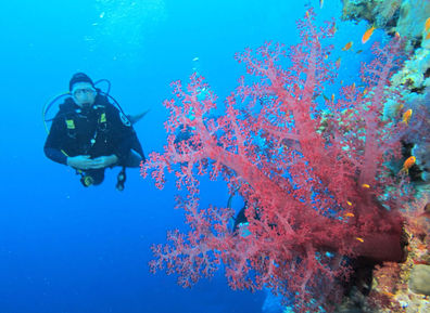 Miért is lettem búvár?