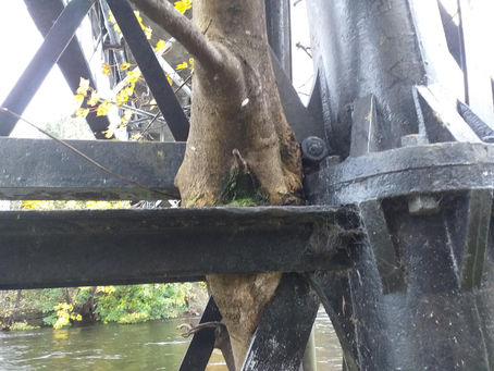 Working in Partnership