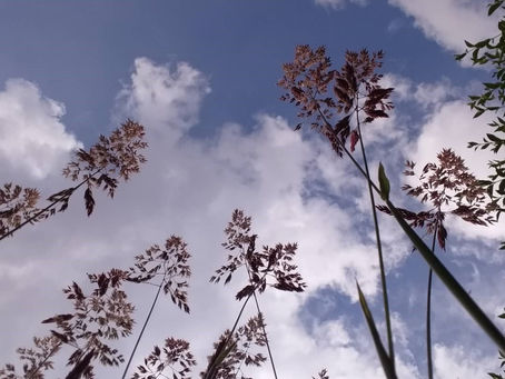 Men and mental illness and young children