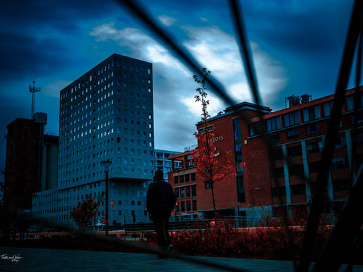 Whispers of Reflections: Discovering Leuven's Secrets by the Water's Edge