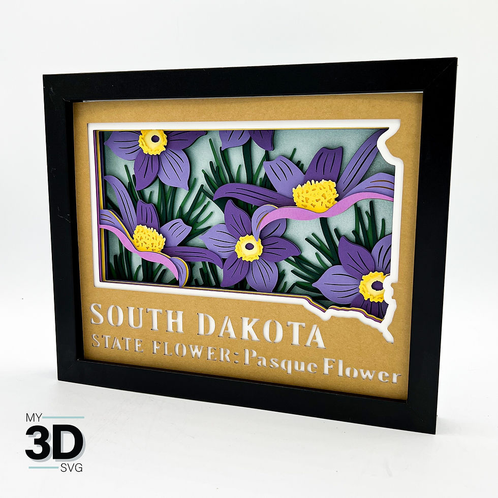 Thumbnail: 3D SOUTH DAKOTA SVG