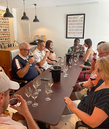 Sophro-degustation-vin.jpeg