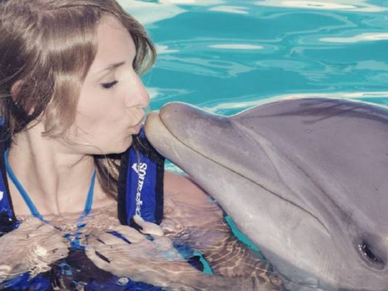 Thumbnail:  Шоу дельфинов в Анталии