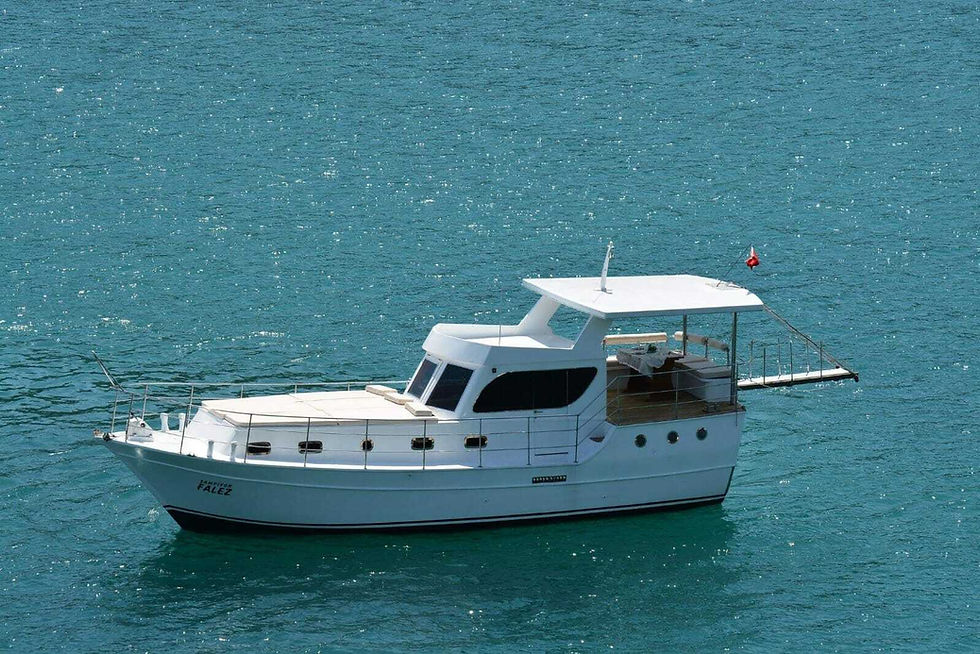 Thumbnail: Яхта "Falez 1"