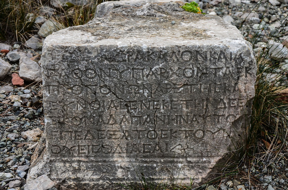 Thumbnail: химера