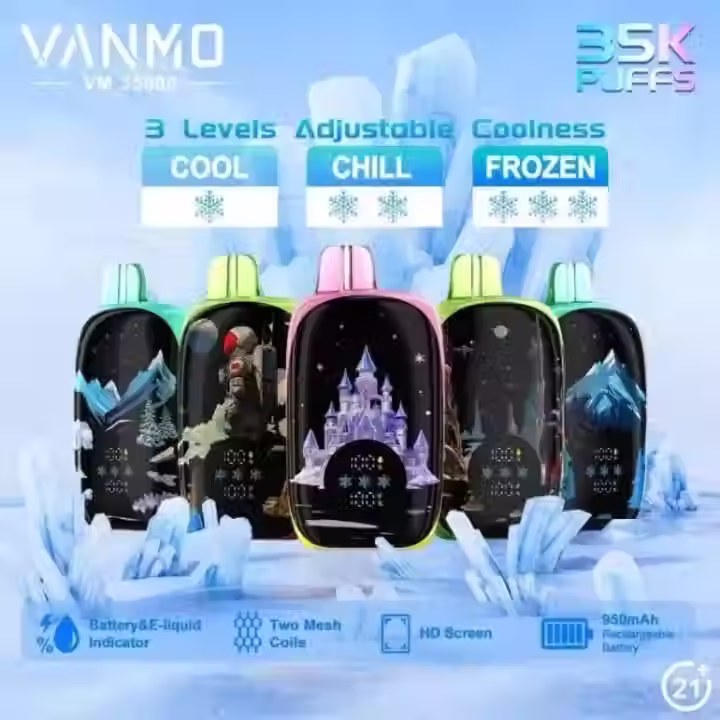 Vanmo VM 35000 Puffs 5pk