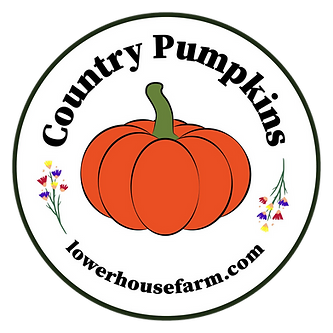 Lower House Farm | Herefordshire