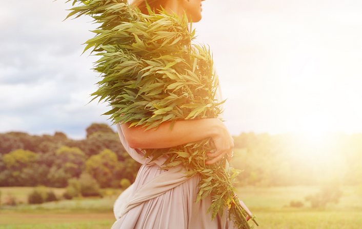 “Woman carrying freshly harvested hemp plants in a field at sunset, representing AMPlifi™ Botanicals connection to nature and CBD wellness.”