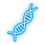"blue neon dna representing enhanced cellular uptake in the body, for AMPlifi™ Botanicals"