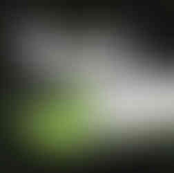 ROQ SAHARA Conveyor Dryer