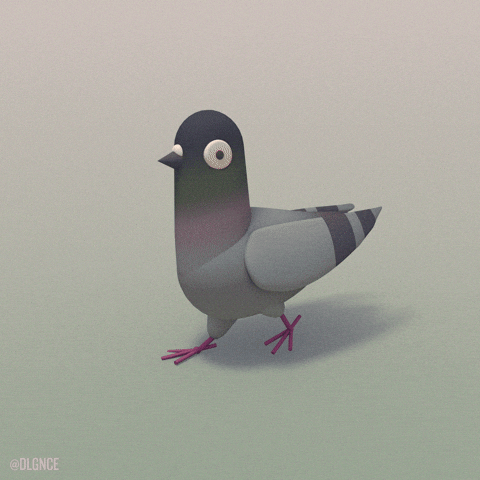 giphy.gif