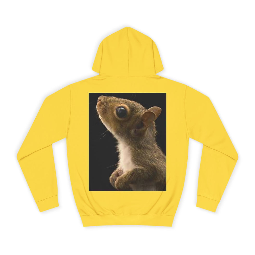 Thumbnail: Legend Squirrell DJStomp Staff Member