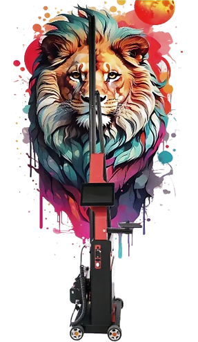 Foto van een veelkleurig geprinte leeuwenhoofd.