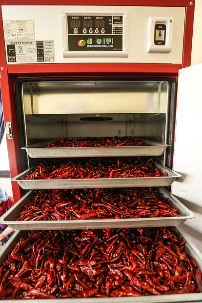 Ready for drying.jpg