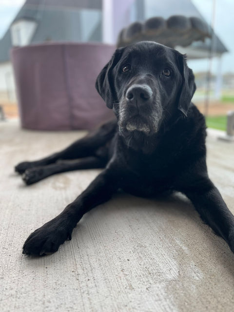 Max