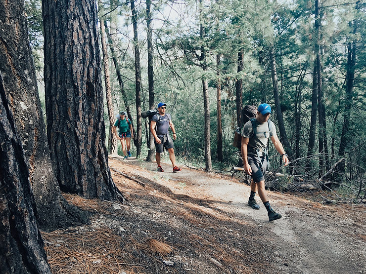 Three hikers in the woods on Mt Lemmon