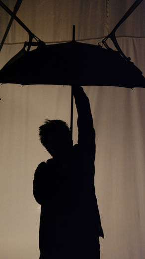 silhouette of woman and umbrella